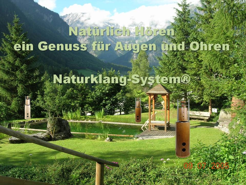 Bild 1 von Natur - Klang - System - Sunray Farbe: ahorn - Naturklangsystem Naturschallwandler